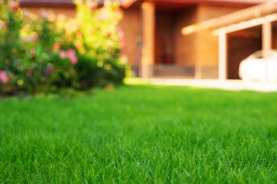 Home Lawn Maintenance