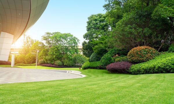 Cost of Commercial Lawn Mowing in Asheville