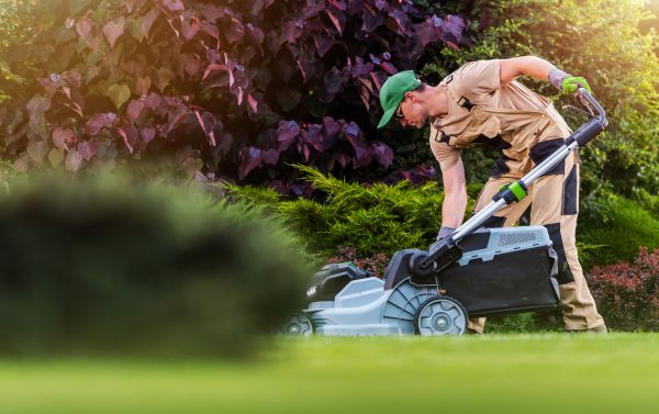 Cost of Lawn Care And Maintenance in Asheville