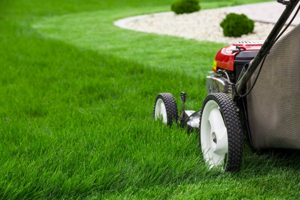 Cost of Mowing Service in Asheville