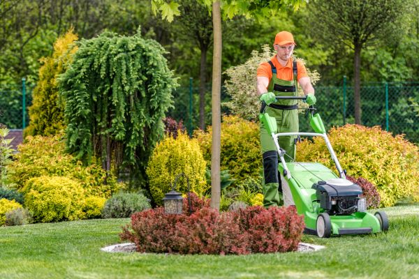 Cost of Yard Service in Asheville
