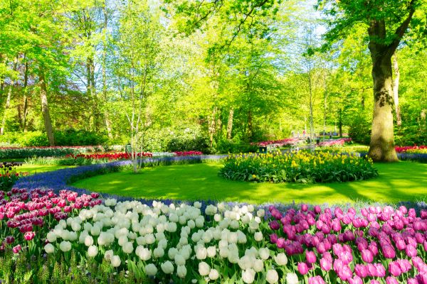 Cost of Spring Lawn Care in Asheville