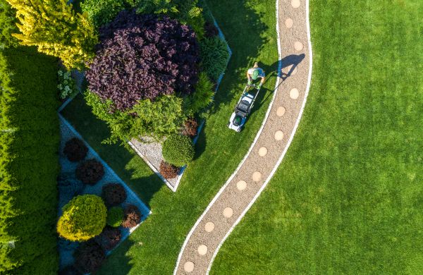 Cost of Mowing And Landscaping in Asheville