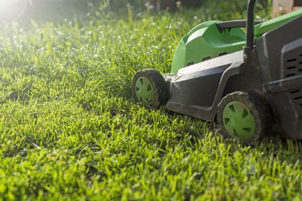 Cost of Lot Mowing in Asheville