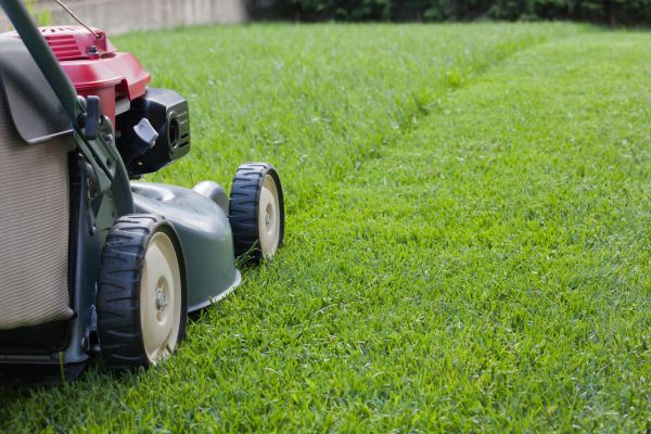 Cost of Spring Lawn Maintenance in Asheville